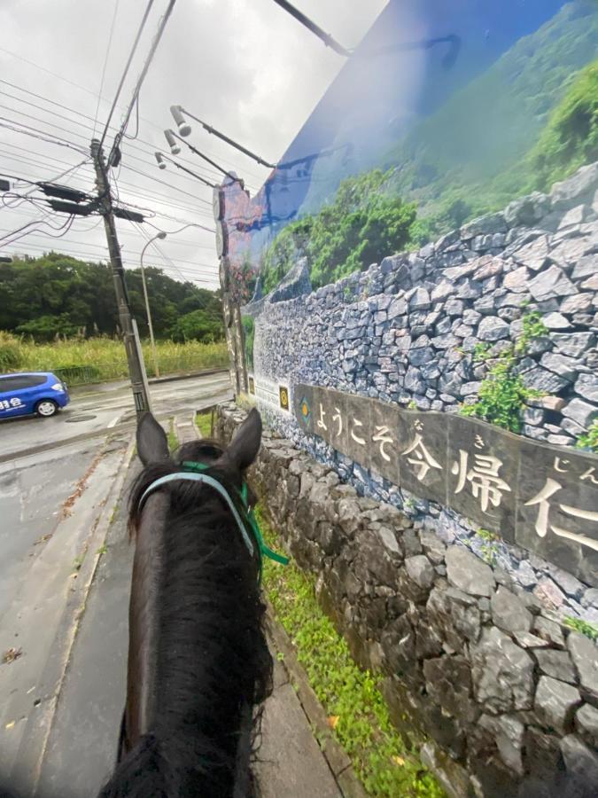 Muumin Farm Vila Nakijin Exterior foto