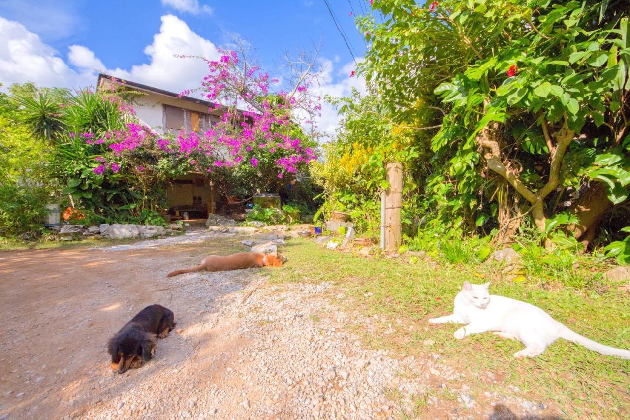Muumin Farm Vila Nakijin Exterior foto